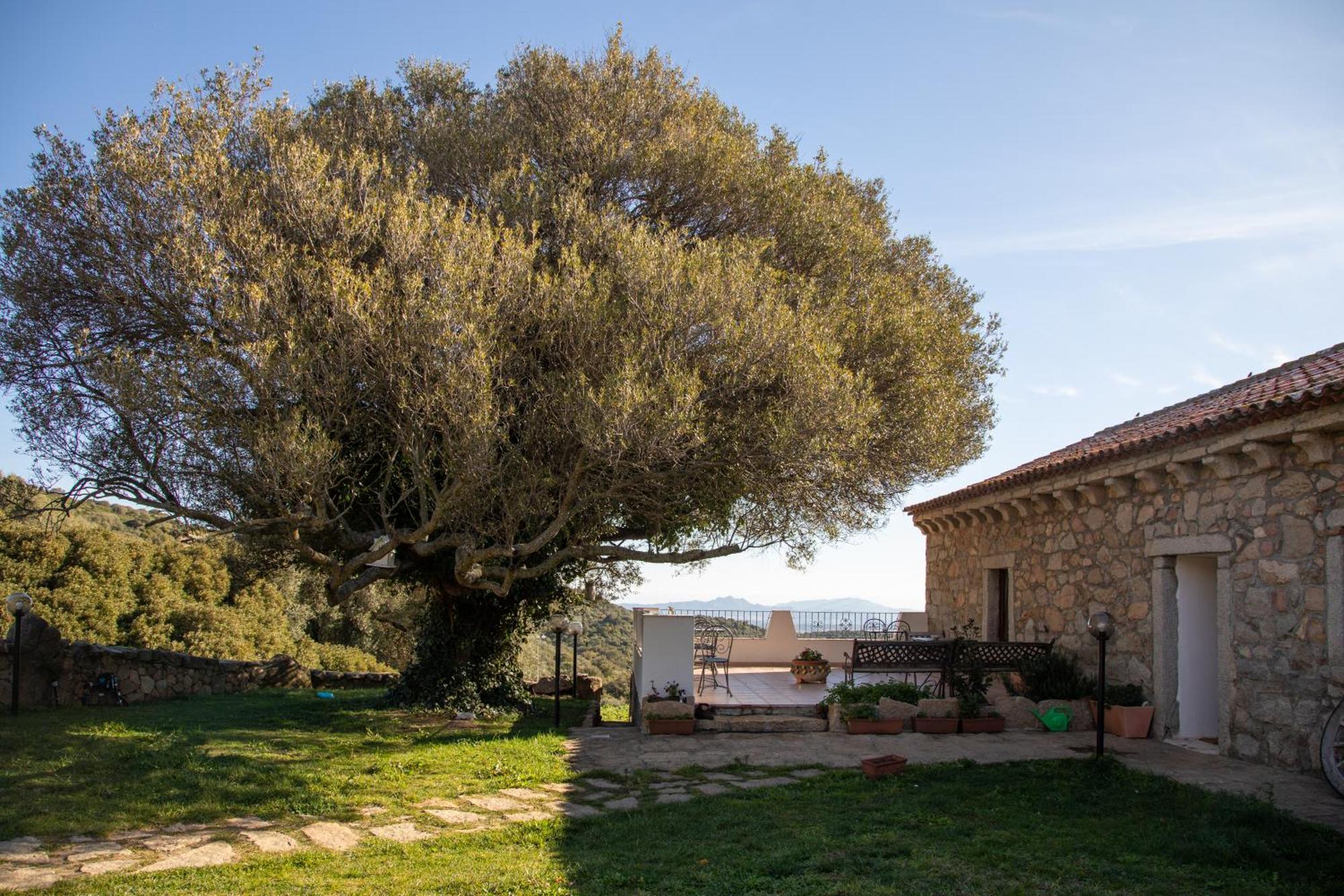 Agriturismo Canu Villa Luogosanto Exterior foto